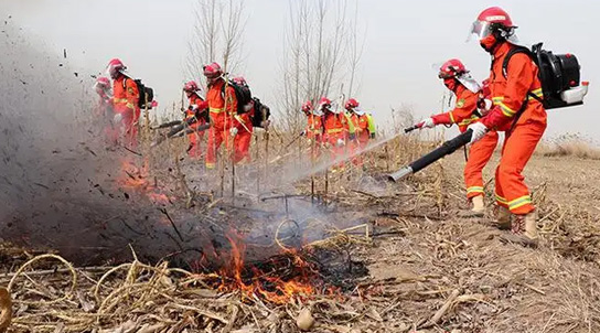 Forest fireproof clothing